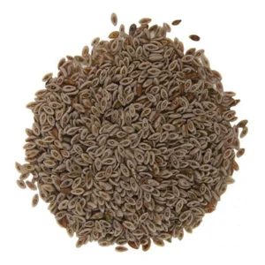 Semillas de Psyllium 1k (Fraccionado)