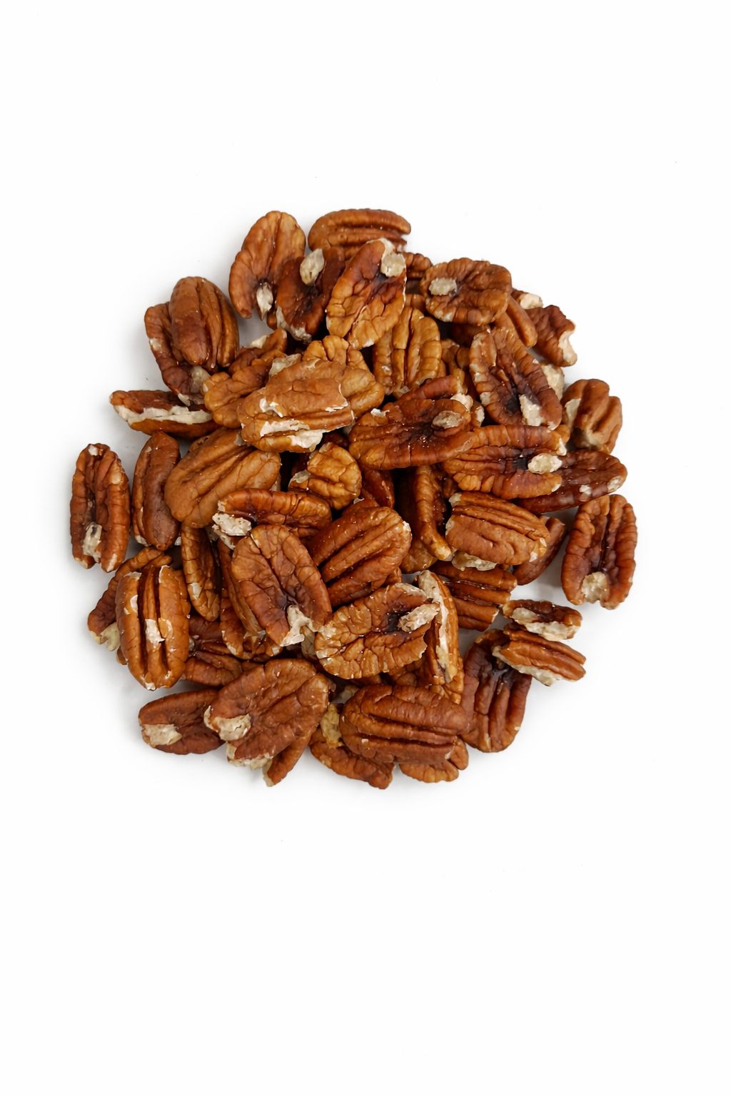 Nuez Pecan 10k