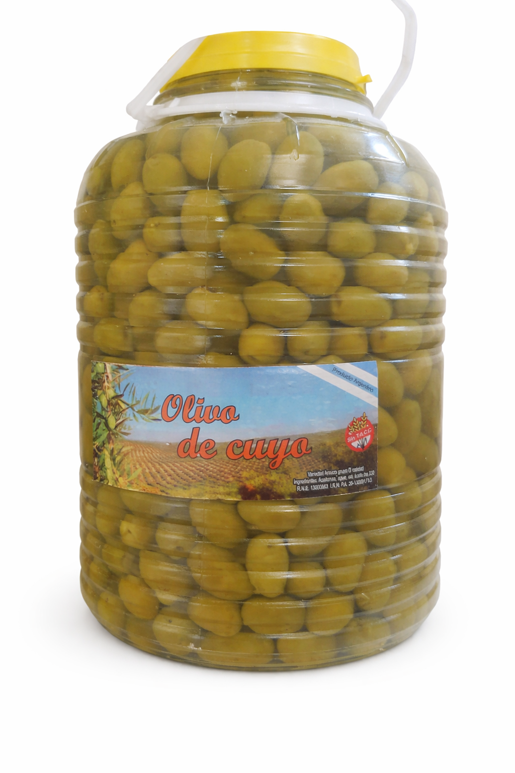 Aceituna Verde con Carozo 5k