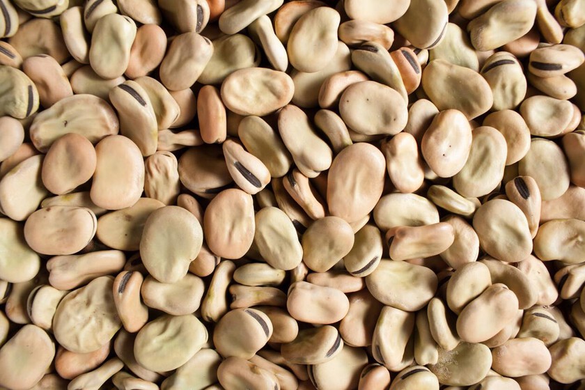 Habas Secas 250Gr (Fraccionado)
