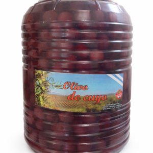 Aceituna Negra con Carozo 5k