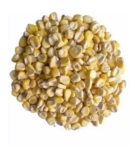 Maiz Amilaceo 25k