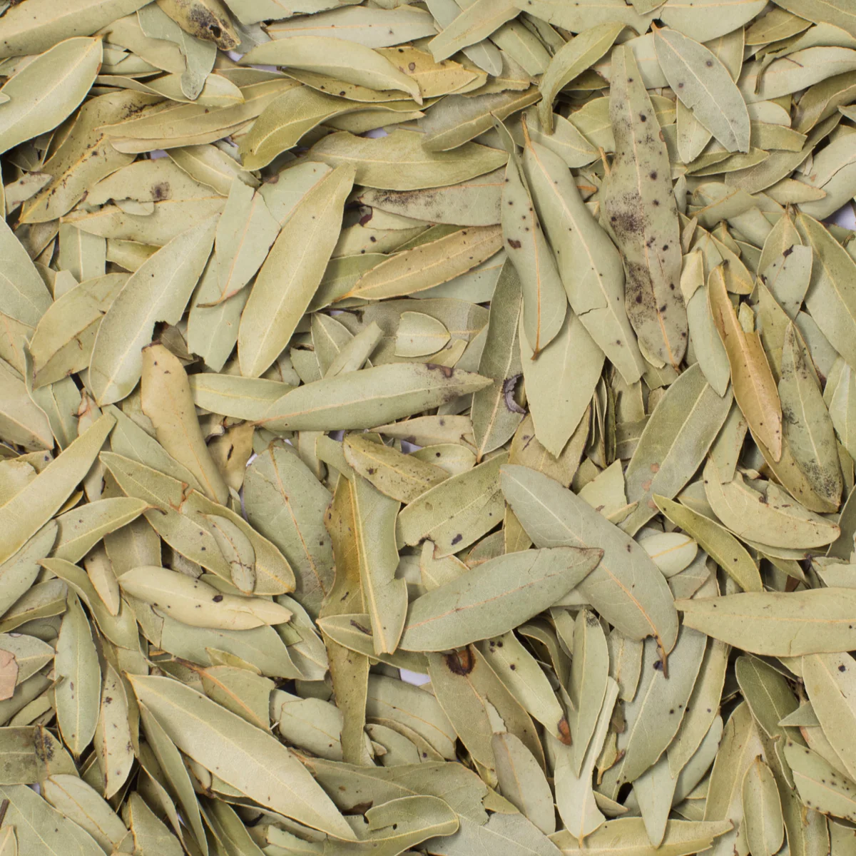 Laurel 100Gr (Fraccionado)