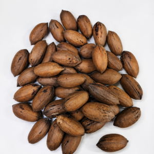 Nuez Pecan Con Cascara 1k (Fraccionado)