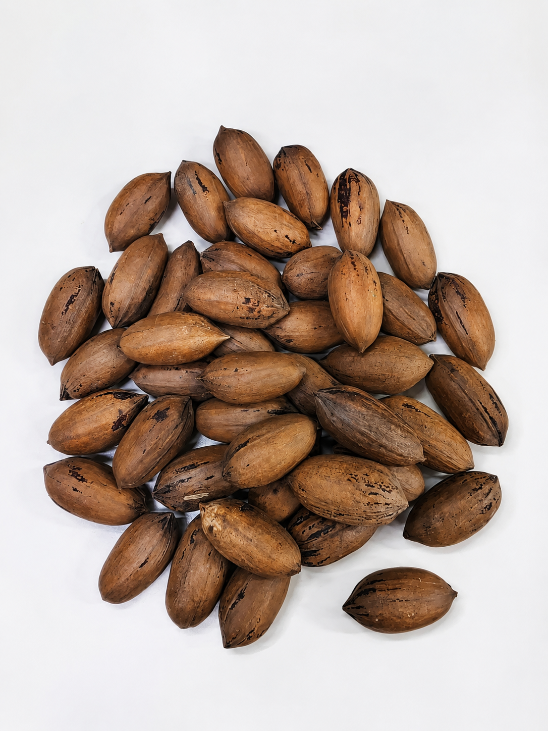 Nuez Pecan Con Cascara 250Gr (Fraccionado)