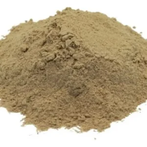Psyllium en Polvo 100Gr (Fraccionado)